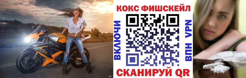Купить закладки  Кингисепп  Кокаин Эквадор 