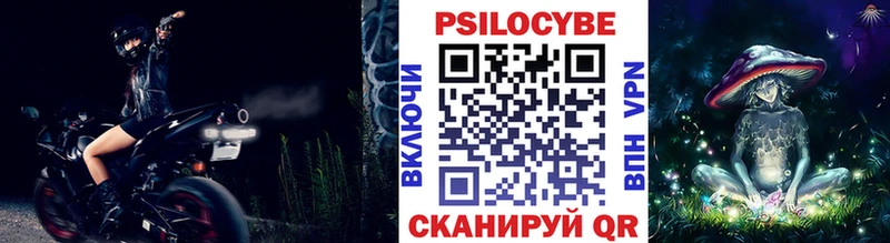 Купить Кингисепп Псилоцибиновые грибы MAGIC MUSHROOMS